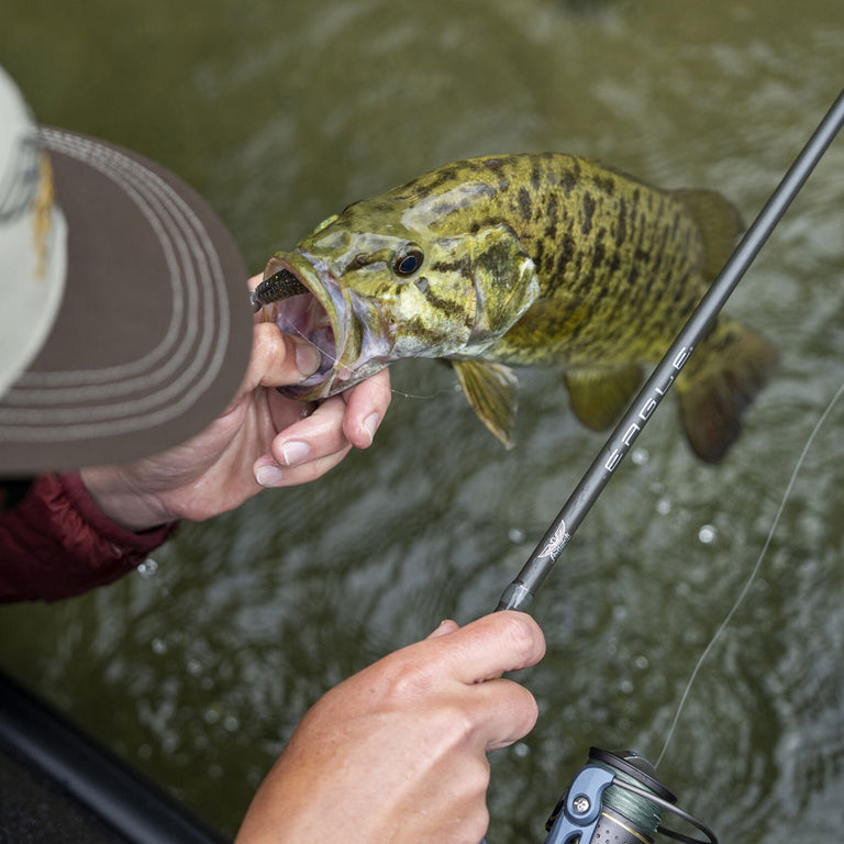 Close up of Bass caught with Fenwick eagle rod