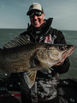 Walleye in hand | Fenwick